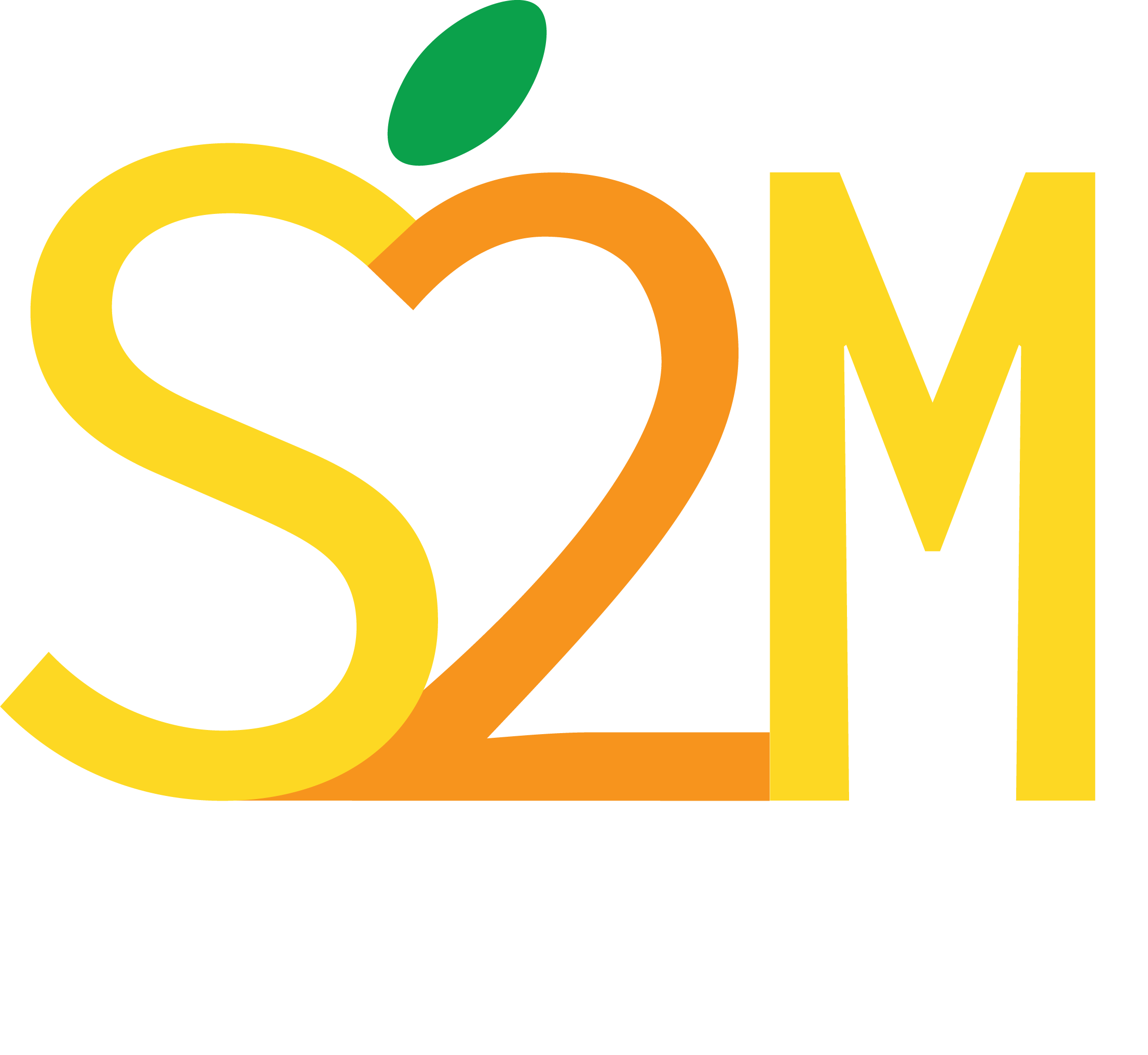 S2M Logo